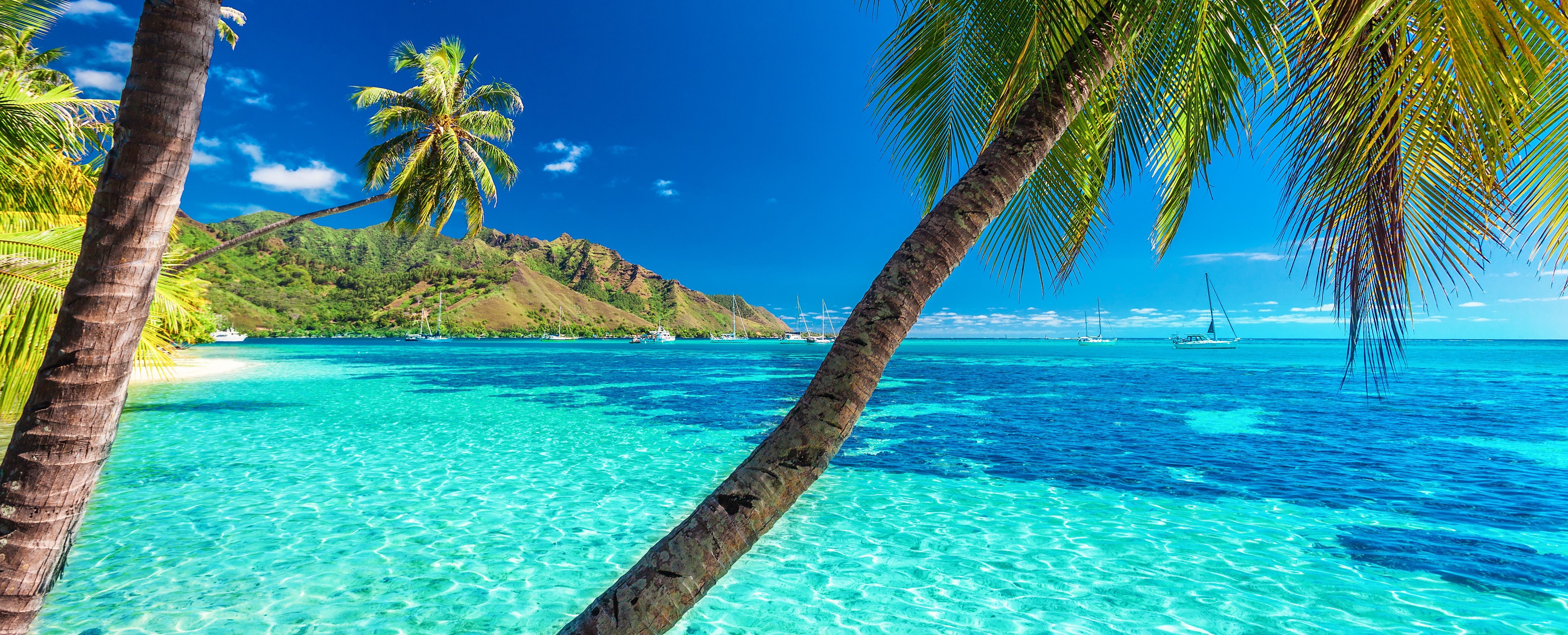 Rejs żaglowy: Bora Bora, Polinezja Francuska